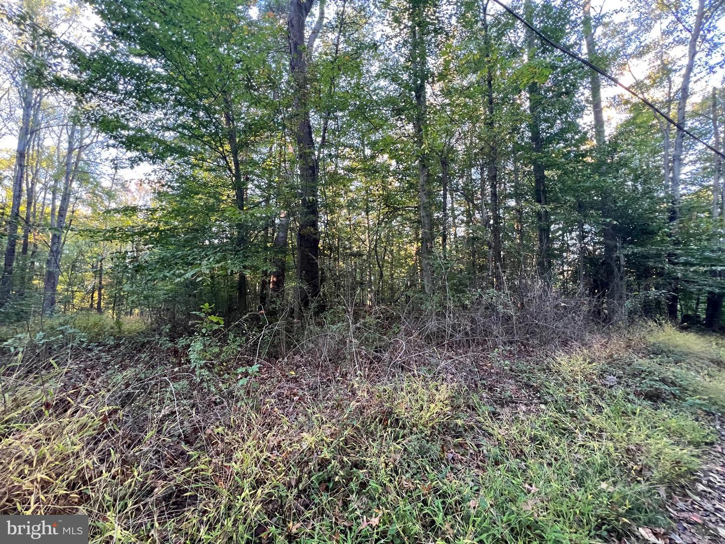 8125 PAPPAS DR, MANASSAS, Virginia 20112, ,Land,For sale,8125 PAPPAS DR,VAPW2106176 MLS # VAPW2106176