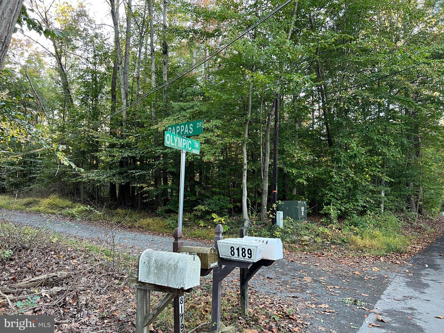 8125 PAPPAS DR, MANASSAS, Virginia 20112, ,Land,For sale,8125 PAPPAS DR,VAPW2106176 MLS # VAPW2106176