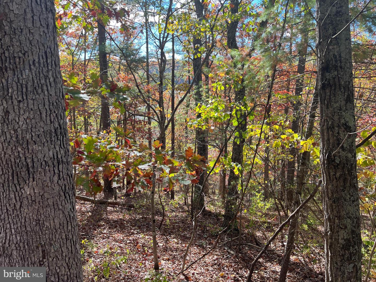 0 BRENDA LN, BASYE, Virginia 22810, ,Land,For sale,0 BRENDA LN,VASH2012808 MLS # VASH2012808 0 BRENDA LN, BASYE, Virginia 22810, ,Land,For sale,0 BRENDA LN,VASH2012808 MLS # VASH2012808