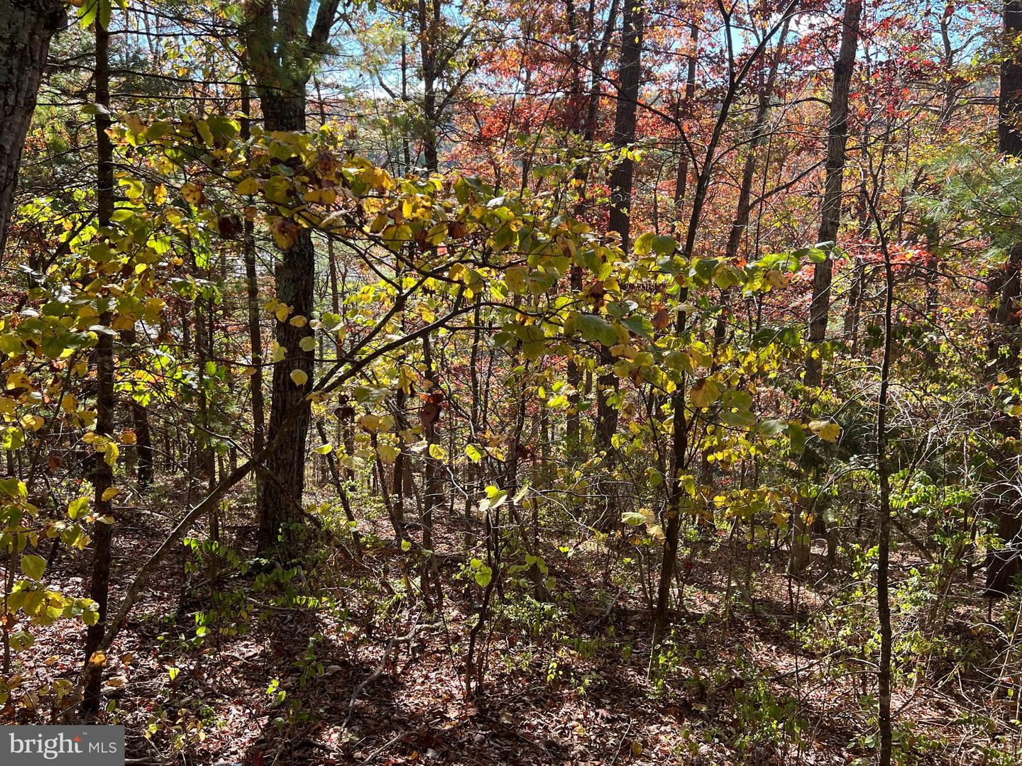 0 BRENDA LN, BASYE, Virginia 22810, ,Land,For sale,0 BRENDA LN,VASH2012808 MLS # VASH2012808 0 BRENDA LN, BASYE, Virginia 22810, ,Land,For sale,0 BRENDA LN,VASH2012808 MLS # VASH2012808