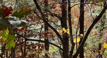 0 BRENDA LN, BASYE, Virginia 22810, ,Land,For sale,0 BRENDA LN,VASH2012808 MLS # VASH2012808