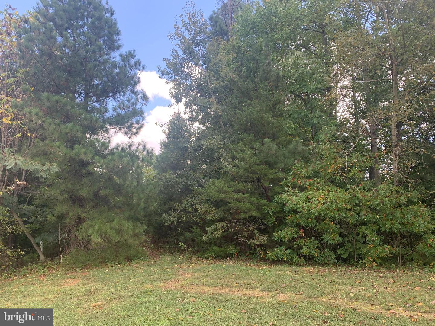 10325 LITCHFIELD DR, SPOTSYLVANIA, Virginia 22553, ,Land,For sale,10325 LITCHFIELD DR,VASP2037014 MLS # VASP2037014