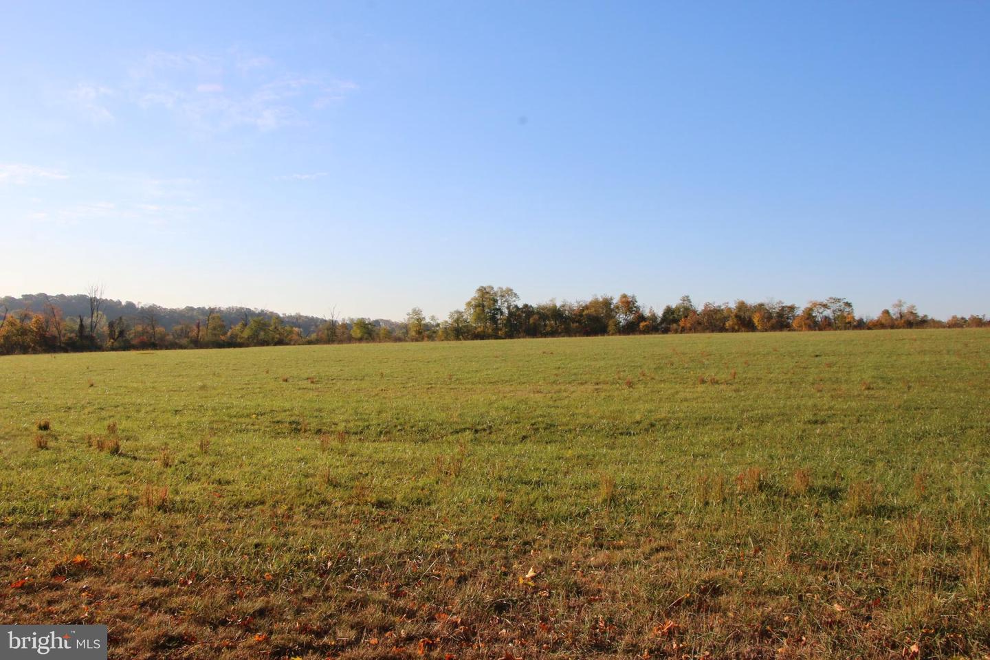 FROG HOLLOW RD, WINCHESTER, Virginia 22603, ,Farm,For sale,FROG HOLLOW RD,VAFV2037502 MLS # VAFV2037502