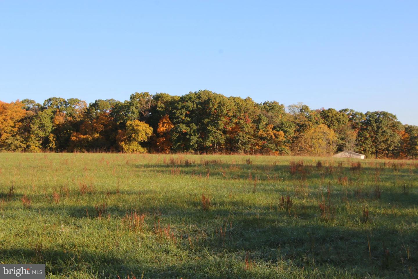 FROG HOLLOW RD, WINCHESTER, Virginia 22603, ,Farm,For sale,FROG HOLLOW RD,VAFV2037502 MLS # VAFV2037502