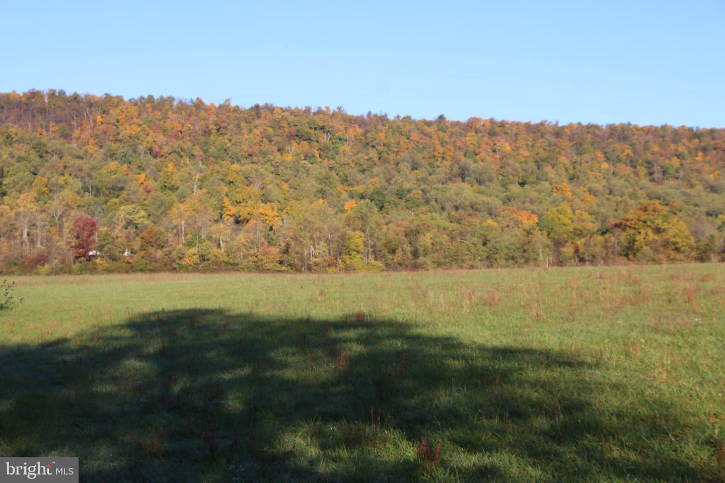 FROG HOLLOW RD, WINCHESTER, Virginia 22603, ,Farm,For sale,FROG HOLLOW RD,VAFV2037502 MLS # VAFV2037502