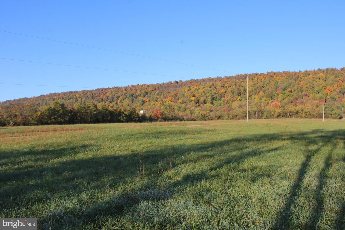 FROG HOLLOW RD, WINCHESTER, Virginia 22603, ,Farm,For sale,FROG HOLLOW RD,VAFV2037502 MLS # VAFV2037502