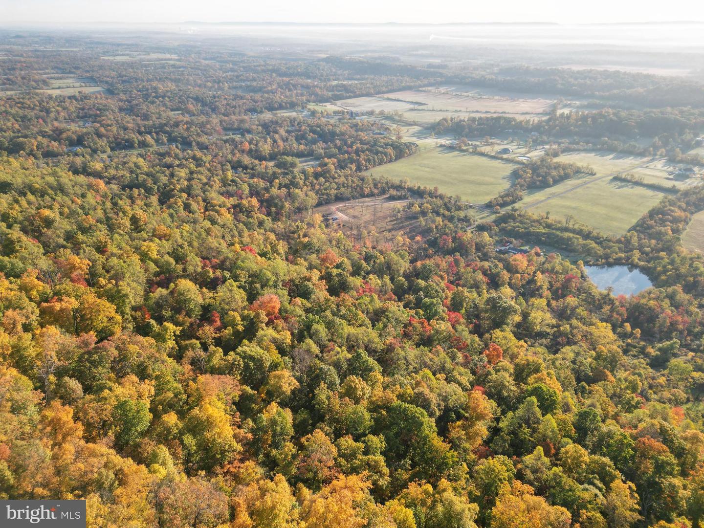 FROG HOLLOW RD, WINCHESTER, Virginia 22603, ,Farm,For sale,FROG HOLLOW RD,VAFV2037502 MLS # VAFV2037502