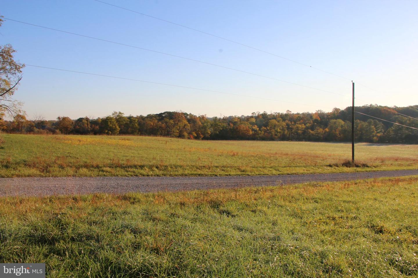 FROG HOLLOW RD, WINCHESTER, Virginia 22603, ,Farm,For sale,FROG HOLLOW RD,VAFV2037502 MLS # VAFV2037502