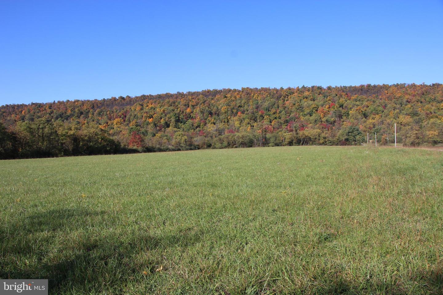 FROG HOLLOW RD, WINCHESTER, Virginia 22603, ,Farm,For sale,FROG HOLLOW RD,VAFV2037502 MLS # VAFV2037502