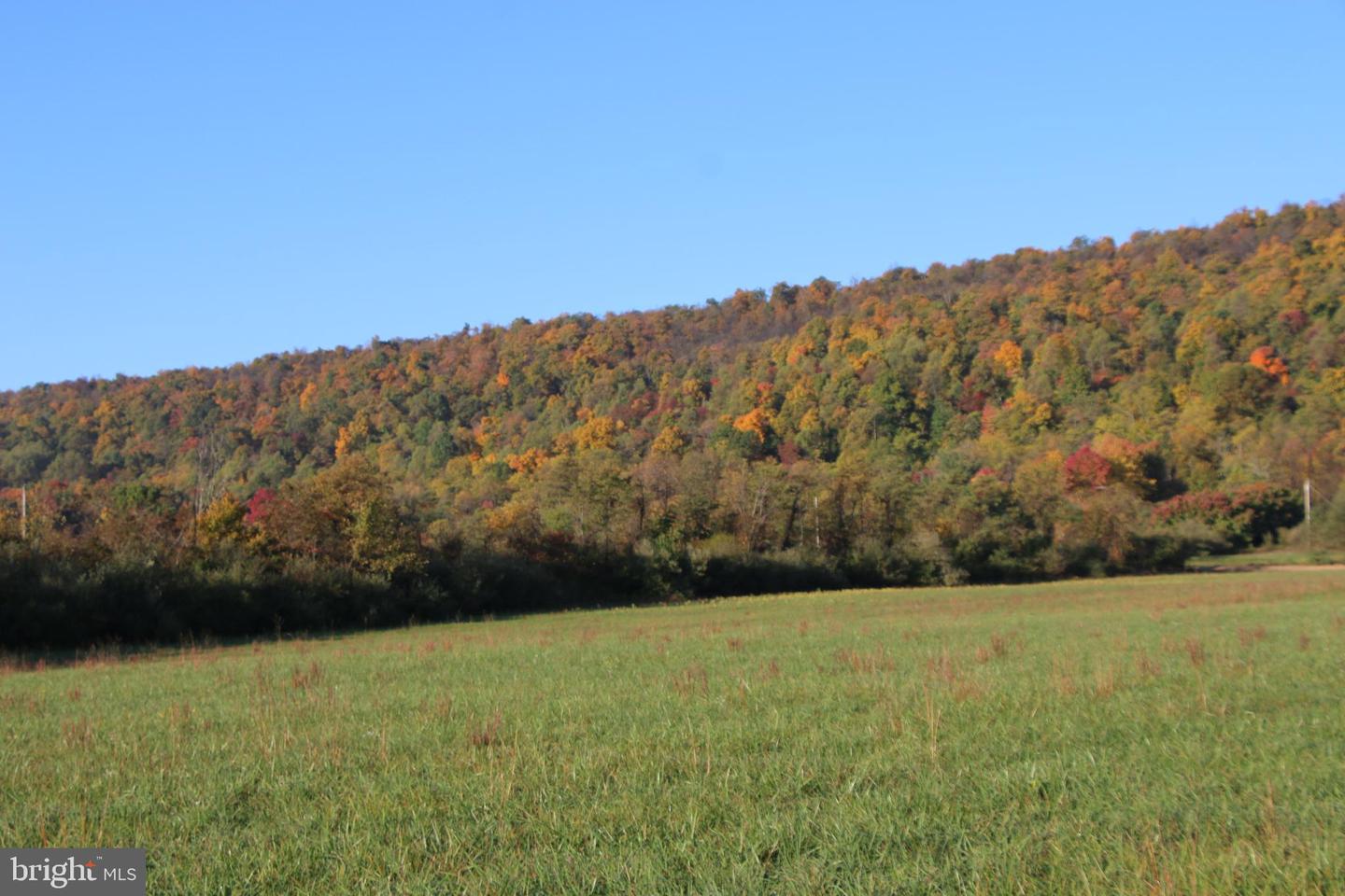 FROG HOLLOW RD, WINCHESTER, Virginia 22603, ,Farm,For sale,FROG HOLLOW RD,VAFV2037502 MLS # VAFV2037502