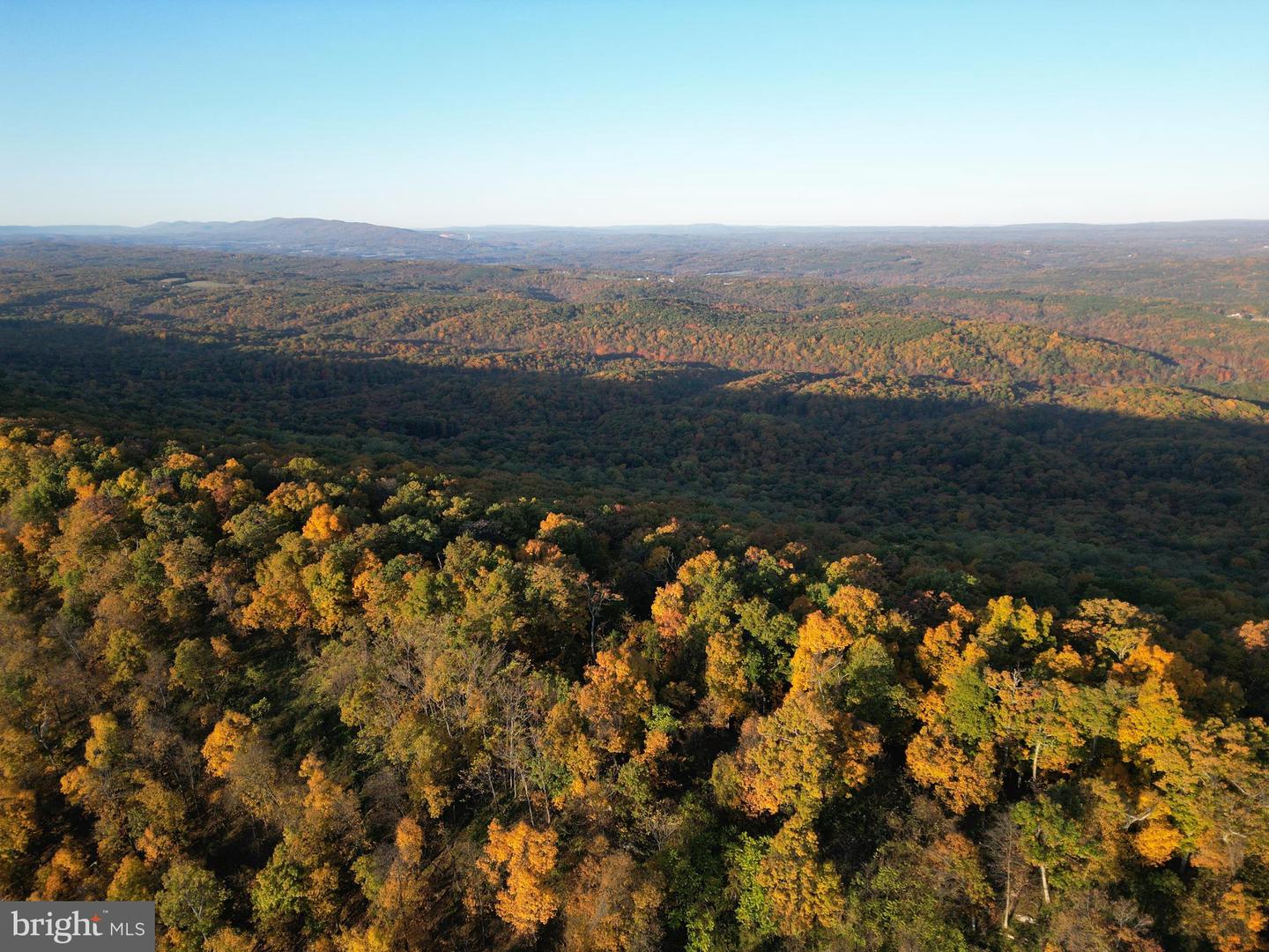 FROG HOLLOW RD, WINCHESTER, Virginia 22603, ,Farm,For sale,FROG HOLLOW RD,VAFV2037502 MLS # VAFV2037502