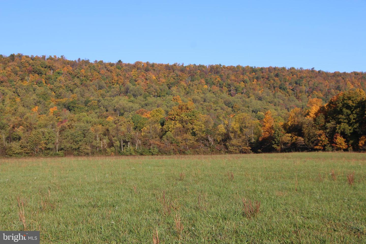 FROG HOLLOW RD, WINCHESTER, Virginia 22603, ,Farm,For sale,FROG HOLLOW RD,VAFV2037502 MLS # VAFV2037502