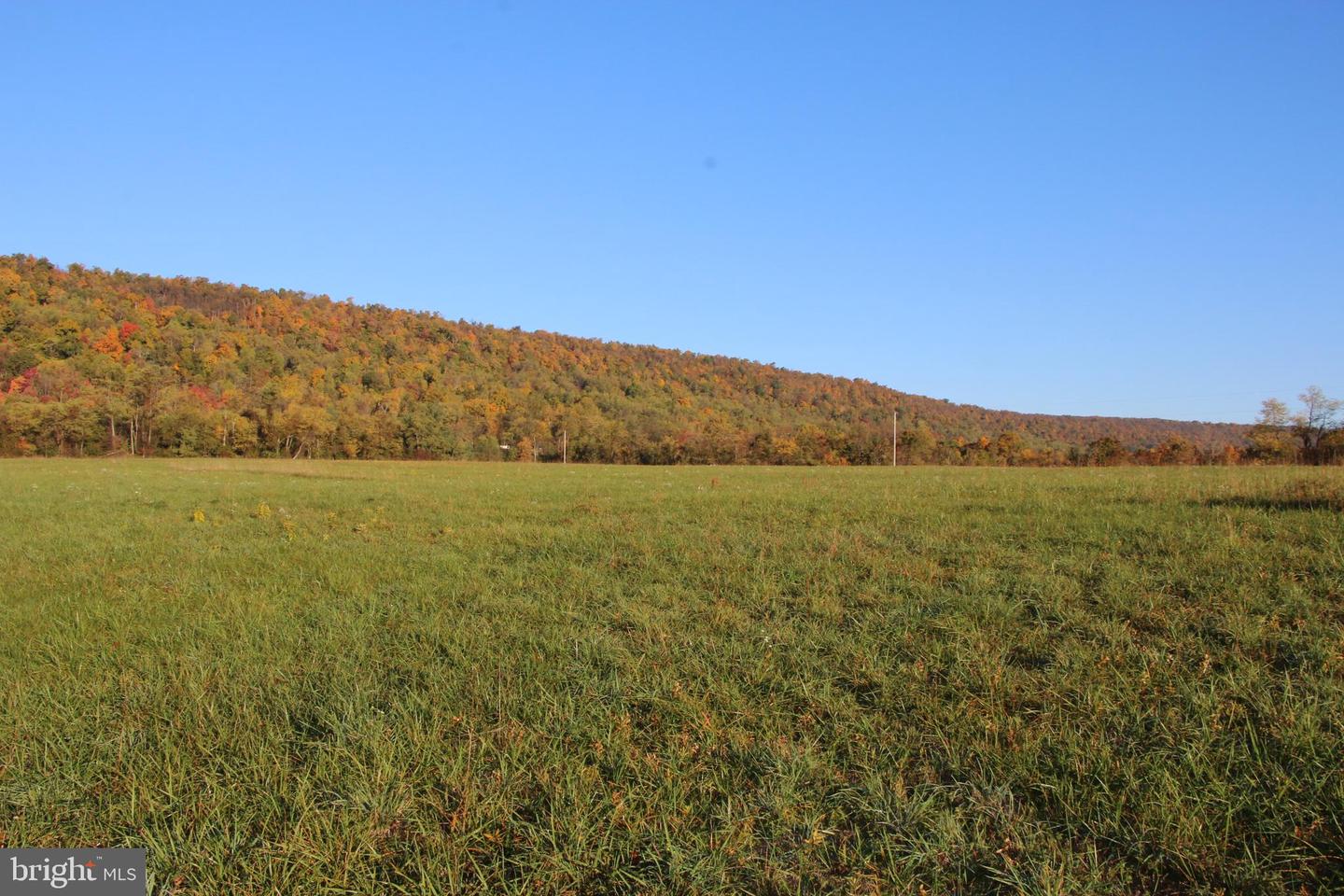 FROG HOLLOW RD, WINCHESTER, Virginia 22603, ,Farm,For sale,FROG HOLLOW RD,VAFV2037502 MLS # VAFV2037502