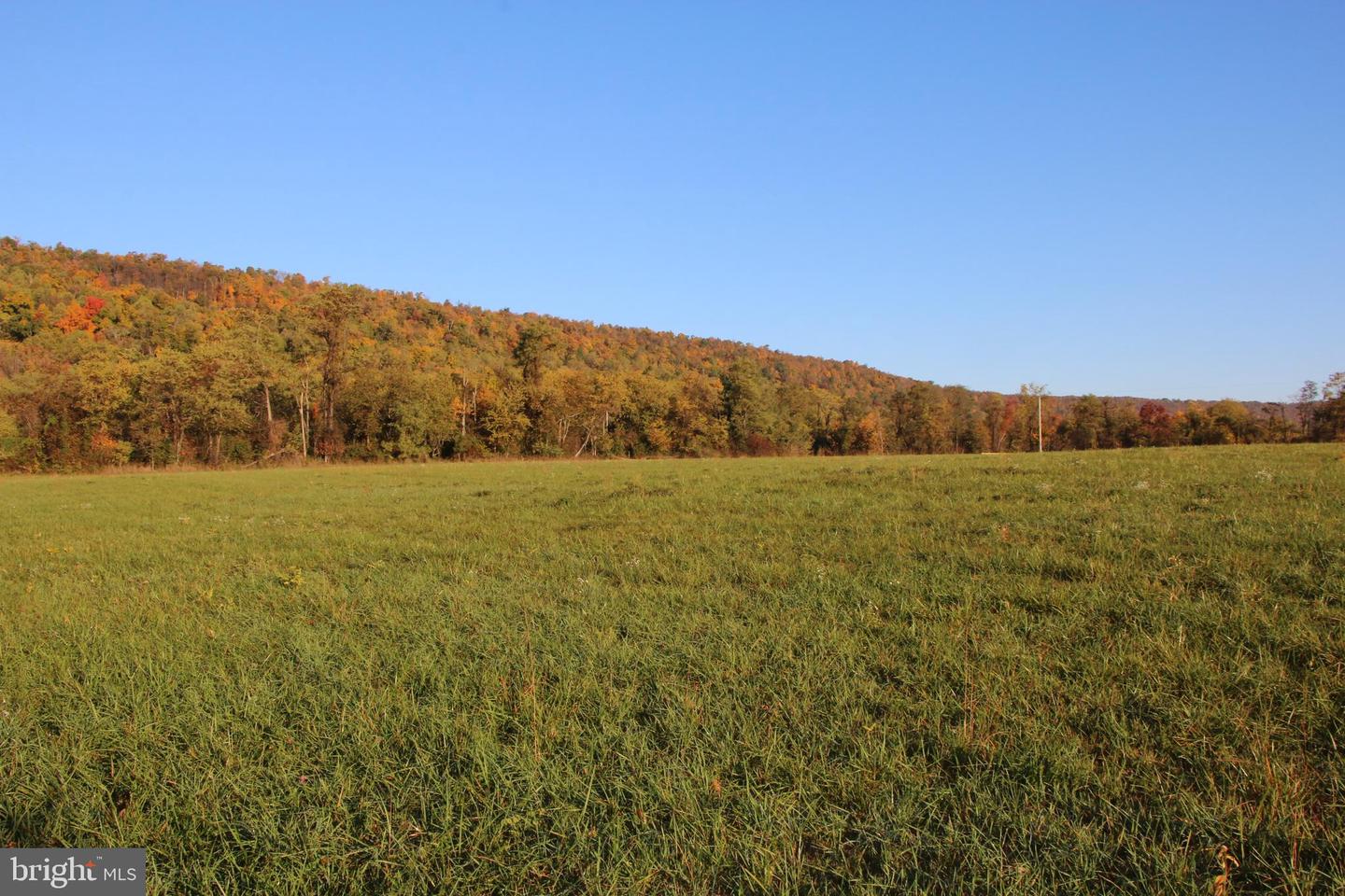 FROG HOLLOW RD, WINCHESTER, Virginia 22603, ,Farm,For sale,FROG HOLLOW RD,VAFV2037502 MLS # VAFV2037502