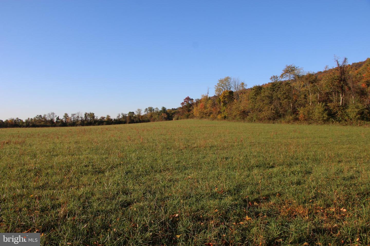 FROG HOLLOW RD, WINCHESTER, Virginia 22603, ,Farm,For sale,FROG HOLLOW RD,VAFV2037502 MLS # VAFV2037502