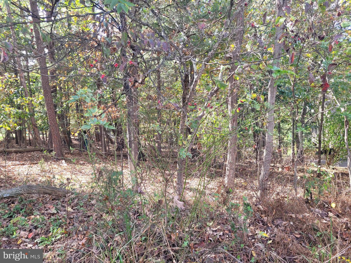 126 DOWNHILL CIR, CROSS JUNCTION, Virginia 22625, ,Land,For sale,126 DOWNHILL CIR,VAFV2037518 MLS # VAFV2037518