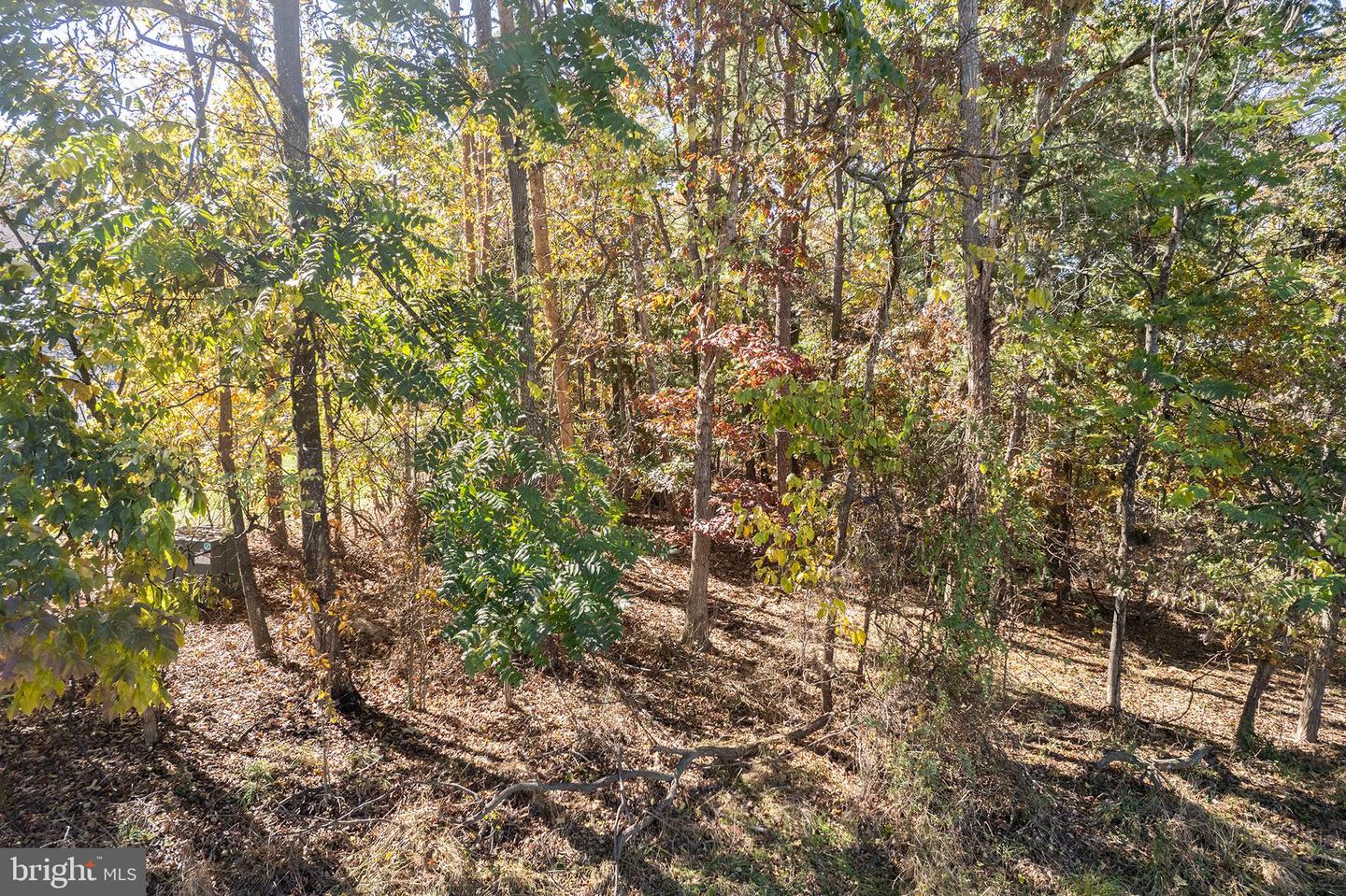 126 DOWNHILL CIR, CROSS JUNCTION, Virginia 22625, ,Land,For sale,126 DOWNHILL CIR,VAFV2037518 MLS # VAFV2037518