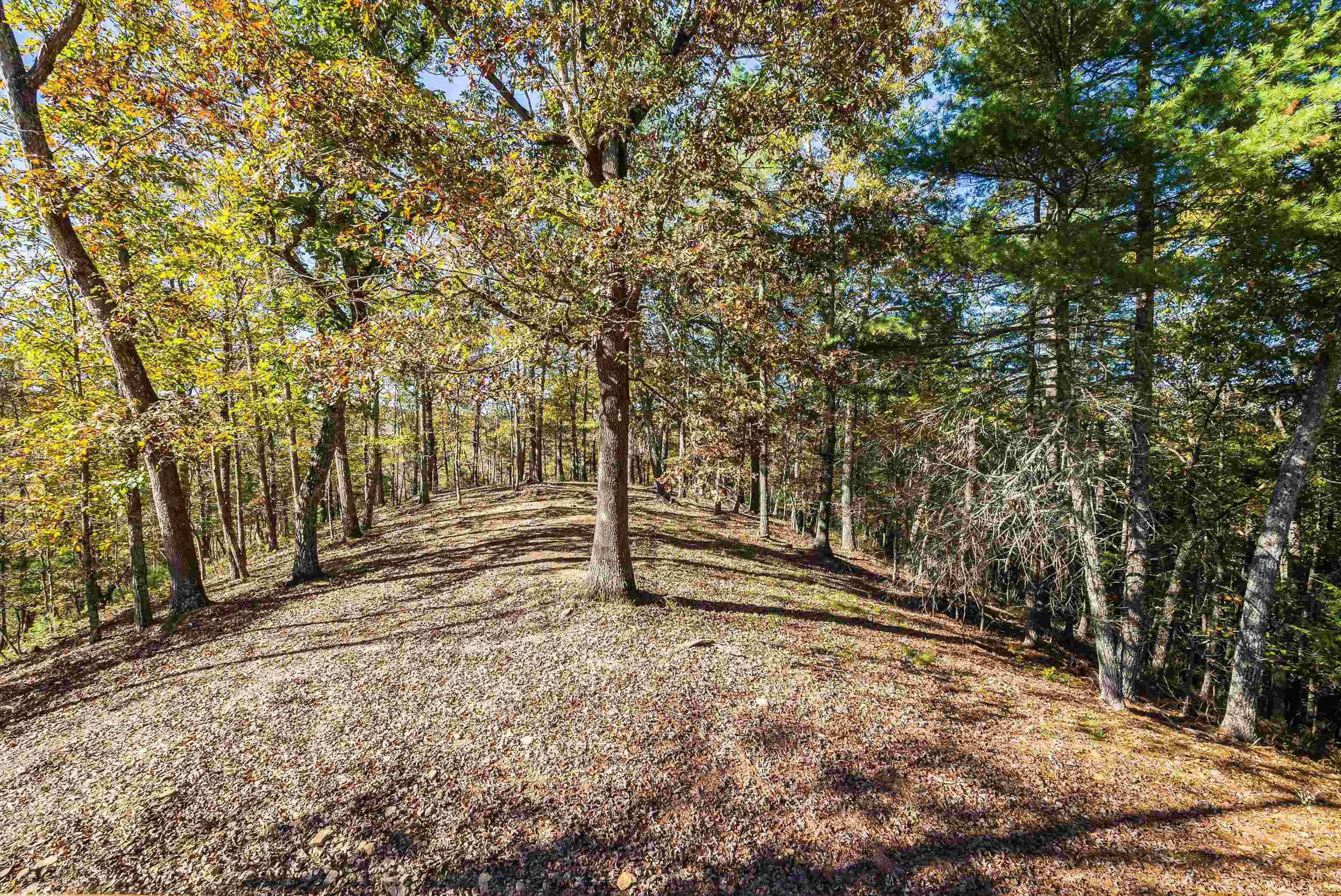 65 MOUNTAIN DEER RUN, WEST AUGUSTA, Virginia 24485, 3 Bedrooms Bedrooms, ,2 BathroomsBathrooms,Residential,65 MOUNTAIN DEER RUN,670188 MLS # 670188