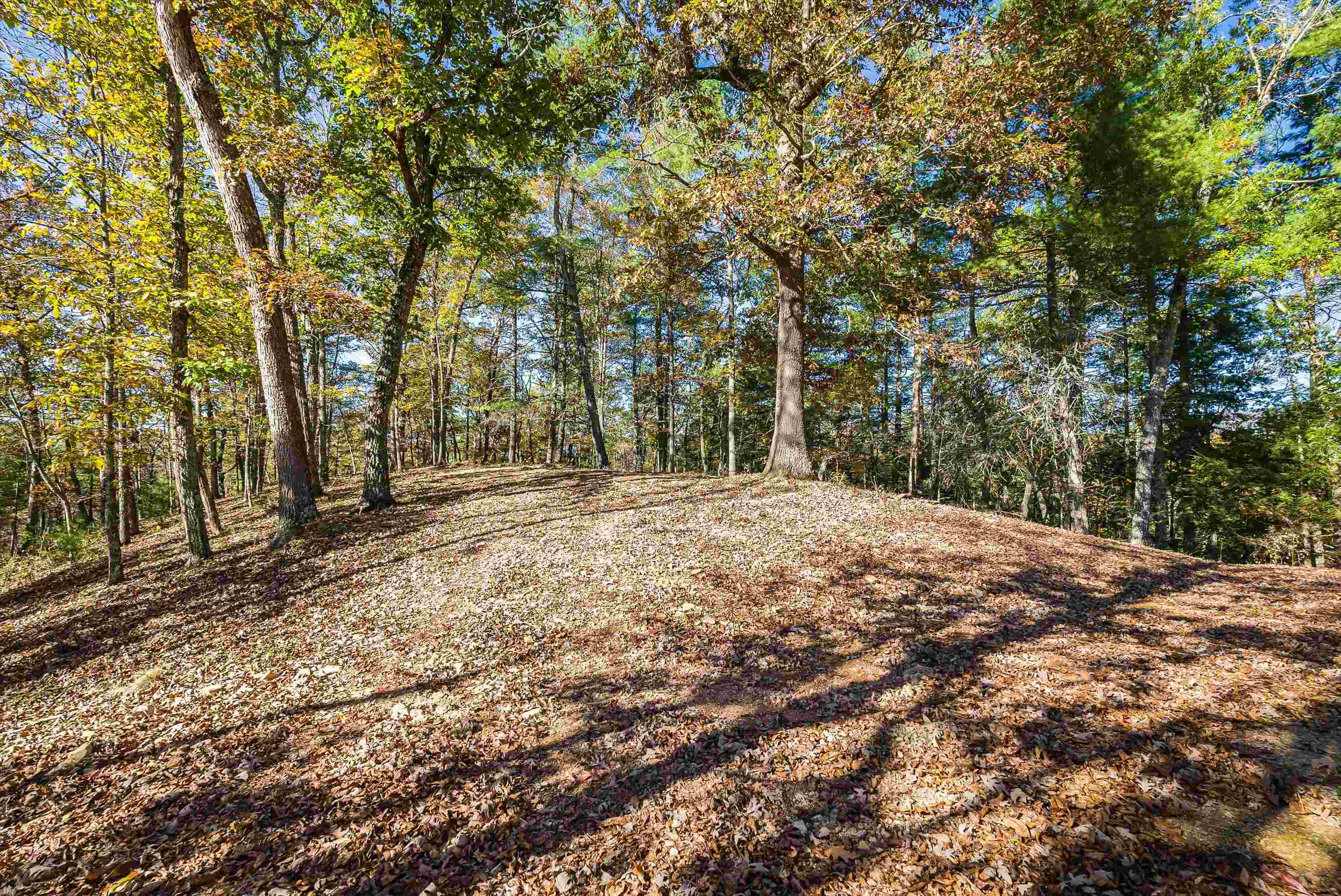 65 MOUNTAIN DEER RUN, WEST AUGUSTA, Virginia 24485, 3 Bedrooms Bedrooms, ,2 BathroomsBathrooms,Residential,65 MOUNTAIN DEER RUN,670188 MLS # 670188