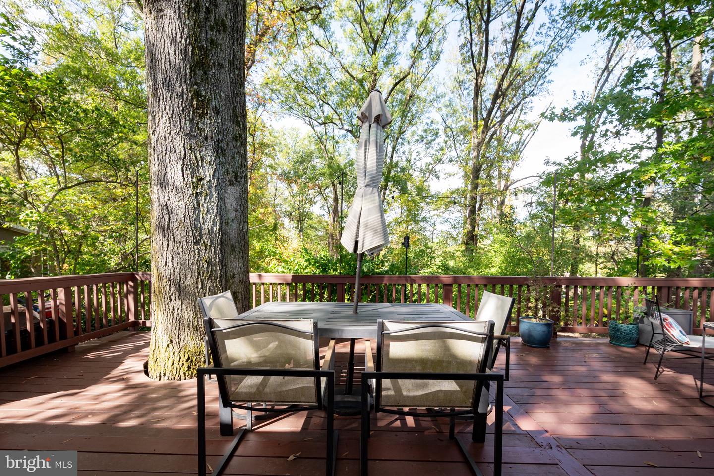 1919 MARTHAS RD, ALEXANDRIA, Virginia 22307, 4 Bedrooms Bedrooms, ,2 BathroomsBathrooms,Residential,For sale,1919 MARTHAS RD,VAFX2274966 MLS # VAFX2274966