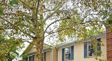 15546 TRAVAILER CT, WOODBRIDGE, Virginia 22193, 4 Bedrooms Bedrooms, 7 Rooms Rooms,2 BathroomsBathrooms,Residential,For sale,15546 TRAVAILER CT,VAPW2103854 MLS # VAPW2103854
