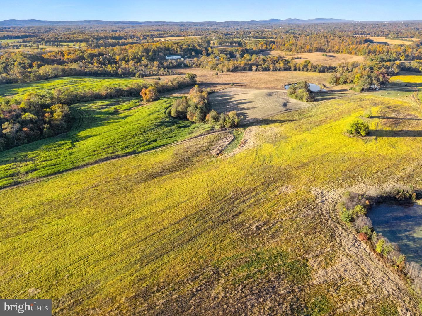 4561 WESTON RD, WARRENTON, Virginia 20187, 6 Bedrooms Bedrooms, 10 Rooms Rooms,4 BathroomsBathrooms,Residential,For sale,4561 WESTON RD,VAFQ2019314 MLS # VAFQ2019314