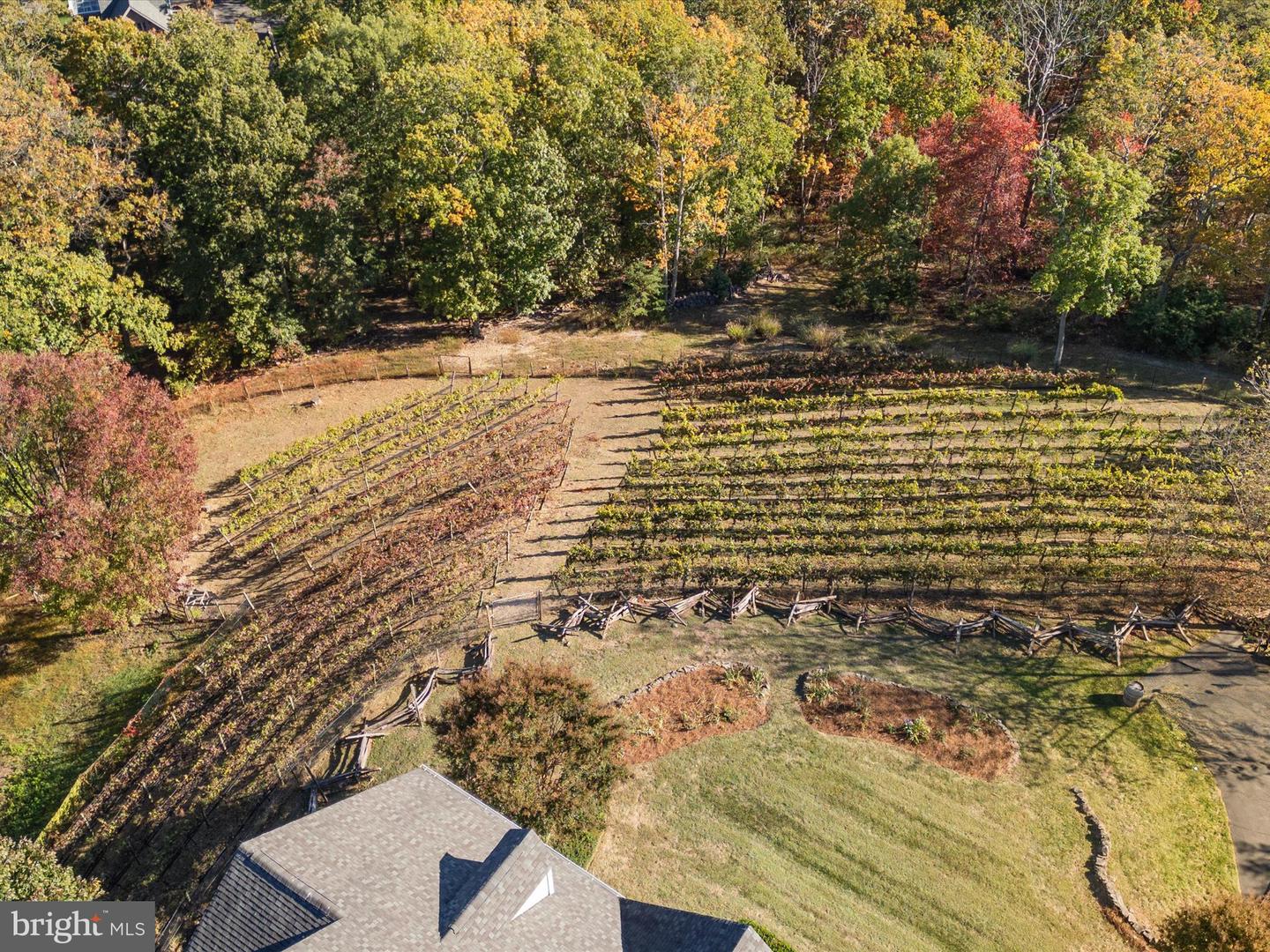 16994 STORMY DR, HAYMARKET, Virginia 20169, 5 Bedrooms Bedrooms, ,4 BathroomsBathrooms,Residential,For sale,16994 STORMY DR,VAPW2105598 MLS # VAPW2105598