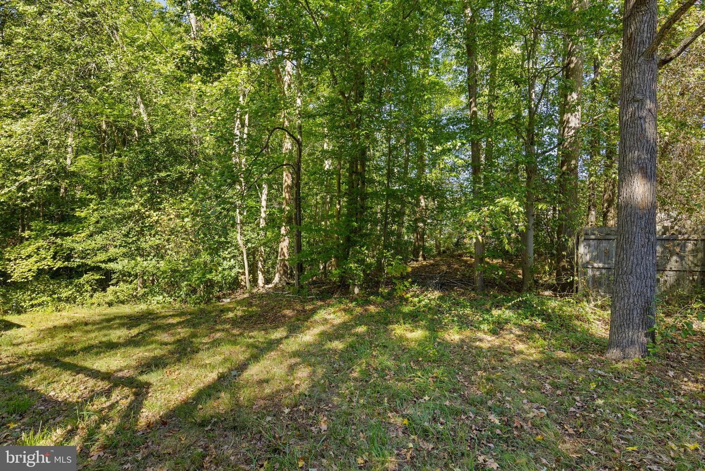1703 SHERWOOD, FREDERICKSBURG, Virginia 22405, 3 Bedrooms Bedrooms, ,2 BathroomsBathrooms,Residential,For sale,1703 SHERWOOD,VAST2043390 MLS # VAST2043390