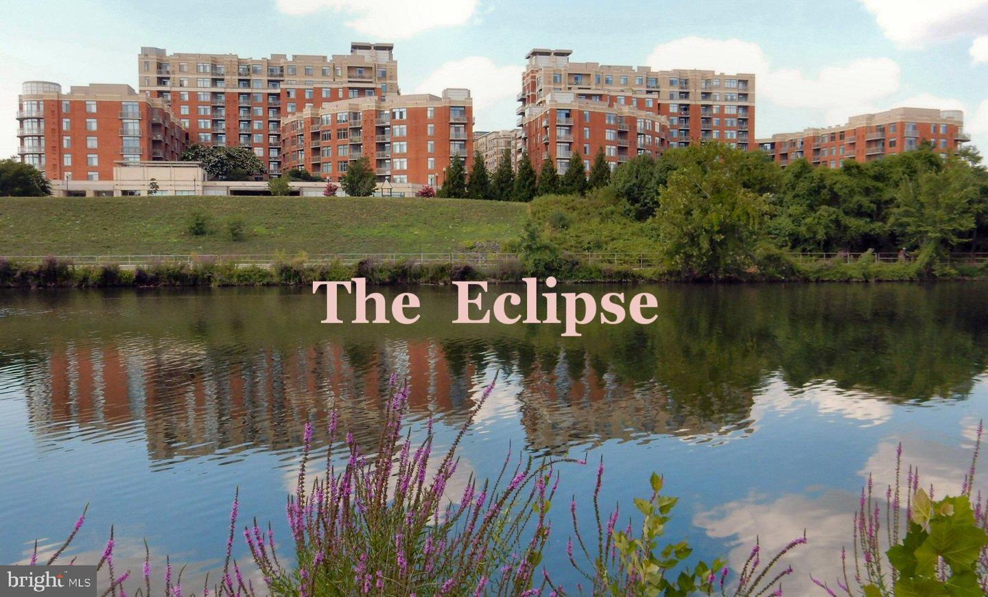 3650 S GLEBE RD #846, ARLINGTON, Virginia 22202, 1 Bedroom Bedrooms, ,1 BathroomBathrooms,Residential,For sale,3650 S GLEBE RD #846,VAAR2064734 MLS # VAAR2064734