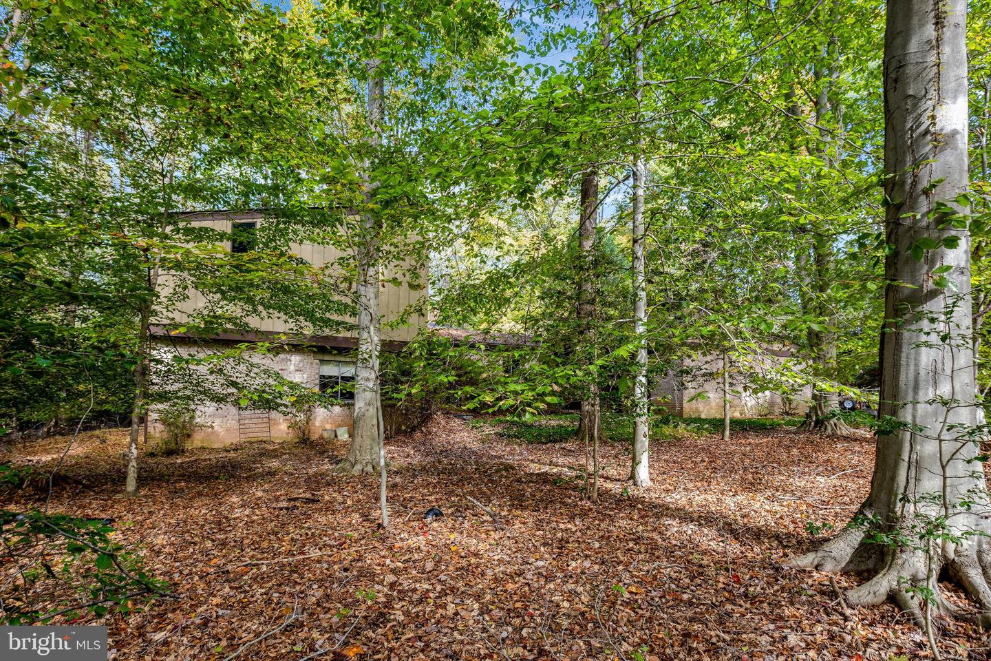 9506 WATTS RD, GREAT FALLS, Virginia 22066, 5 Bedrooms Bedrooms, ,3 BathroomsBathrooms,Residential,For sale,9506 WATTS RD,VAFX2273582 MLS # VAFX2273582