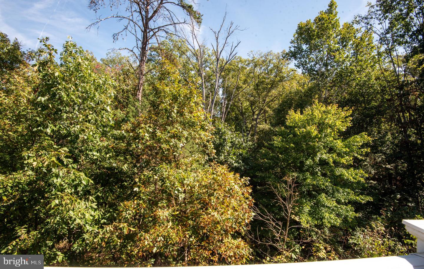 6113 CAMERONS FERRY DR, HAYMARKET, Virginia 20169, 4 Bedrooms Bedrooms, ,3 BathroomsBathrooms,Residential,For sale,6113 CAMERONS FERRY DR,VAPW2105718 MLS # VAPW2105718