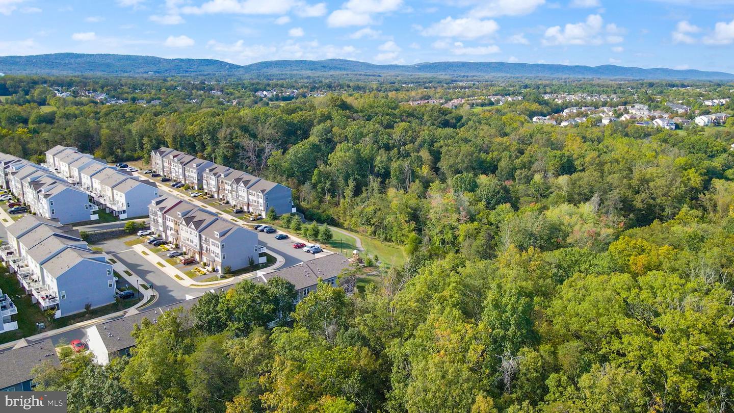 6113 CAMERONS FERRY DR, HAYMARKET, Virginia 20169, 4 Bedrooms Bedrooms, ,3 BathroomsBathrooms,Residential,For sale,6113 CAMERONS FERRY DR,VAPW2105718 MLS # VAPW2105718 6113 CAMERONS FERRY DR, HAYMARKET, Virginia 20169, 4 Bedrooms Bedrooms, ,3 BathroomsBathrooms,Residential,For sale,6113 CAMERONS FERRY DR,VAPW2105718 MLS # VAPW2105718