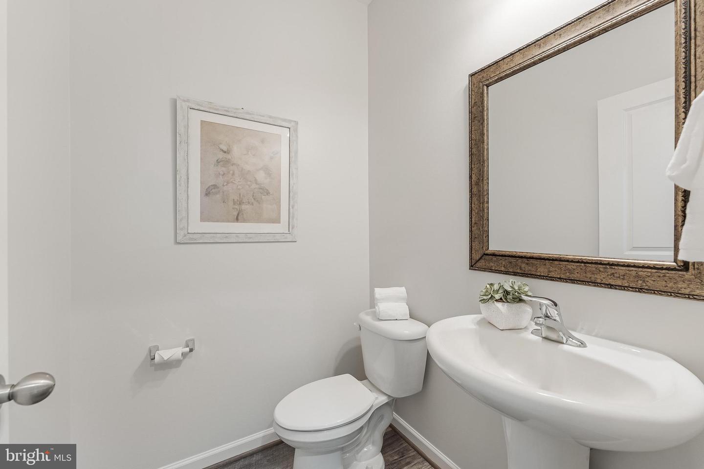 12080 SUNFLOWER FIELD PL, LOVETTSVILLE, Virginia 20180, 5 Bedrooms Bedrooms, ,5 BathroomsBathrooms,Residential,For sale,12080 SUNFLOWER FIELD PL,VALO2108552 MLS # VALO2108552