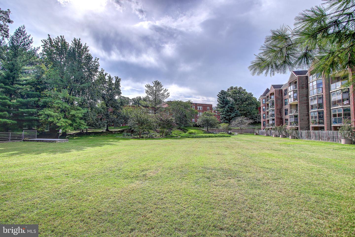2100 LANGSTON BLVD #320, ARLINGTON, Virginia 22201, 1 Bedroom Bedrooms, ,1 BathroomBathrooms,Residential,For sale,2100 LANGSTON BLVD #320,VAAR2064904 MLS # VAAR2064904