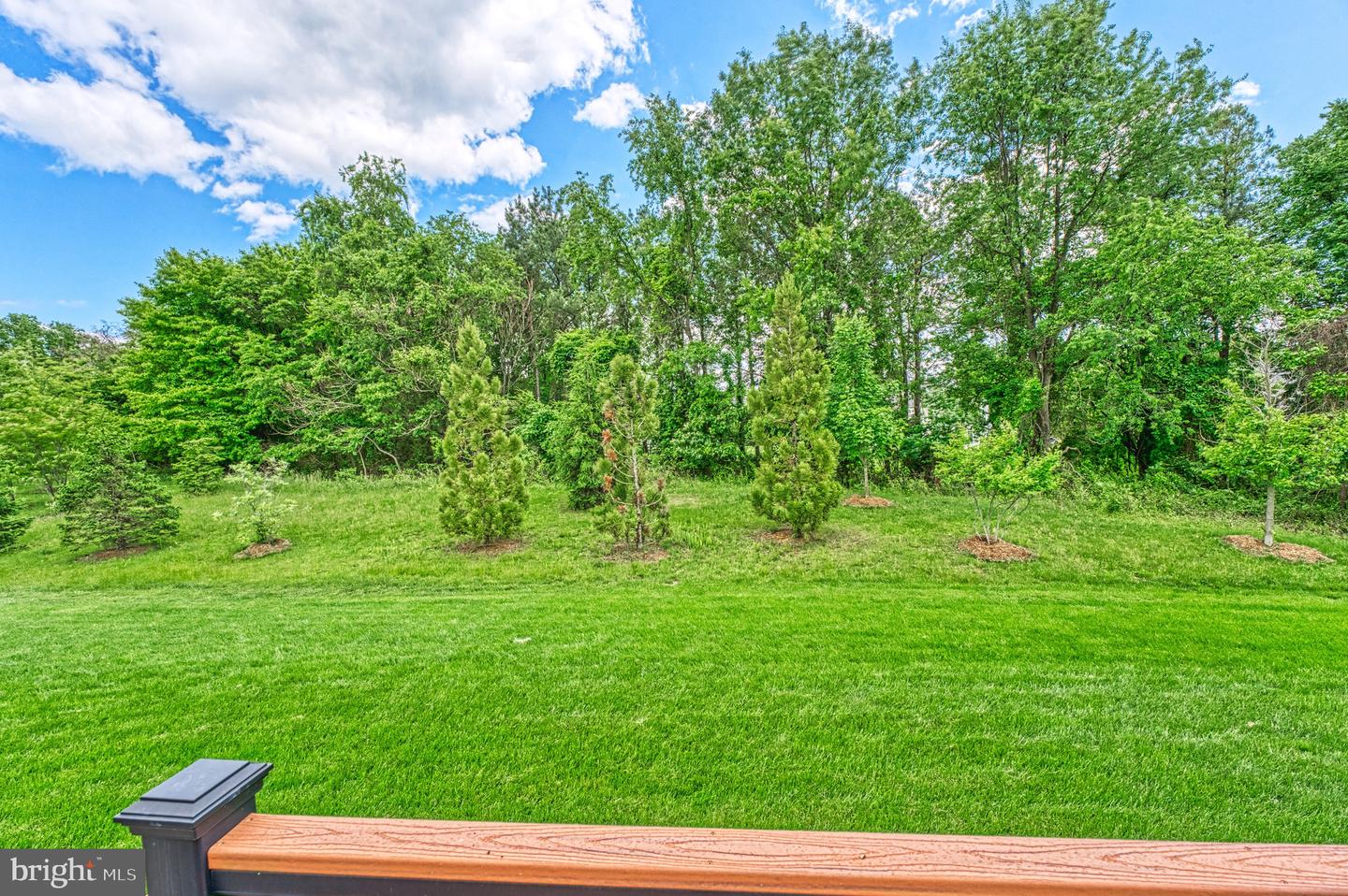23985 TENBURY WELLS PL, ALDIE, Virginia 20105, 5 Bedrooms Bedrooms, ,3 BathroomsBathrooms,Residential,For sale,23985 TENBURY WELLS PL,VALO2108906 MLS # VALO2108906