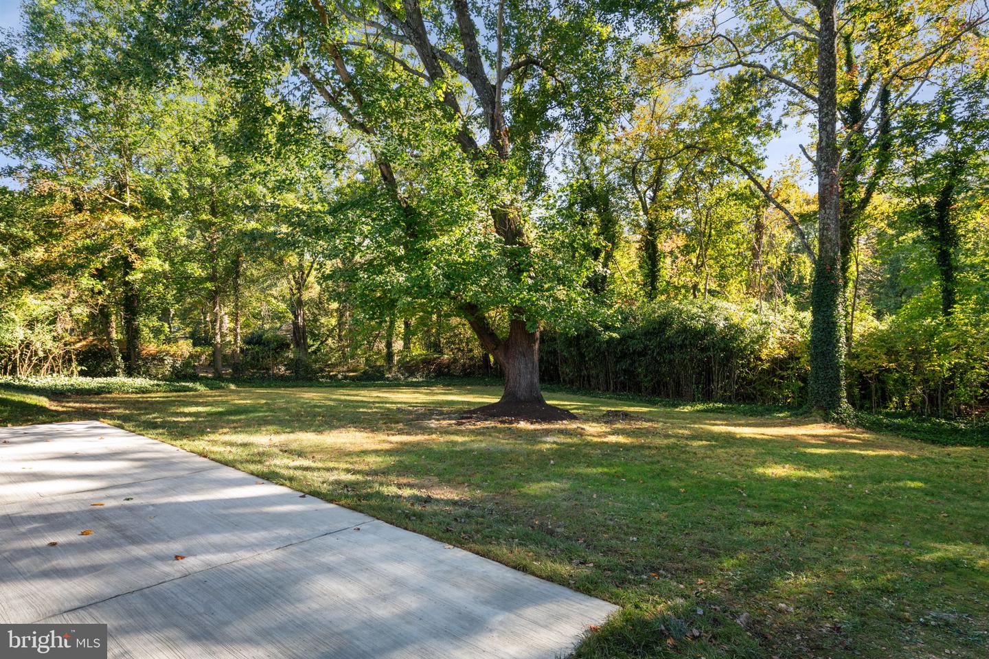8801 GATESHEAD RD, ALEXANDRIA, Virginia 22309, 4 Bedrooms Bedrooms, ,3 BathroomsBathrooms,Residential,For sale,8801 GATESHEAD RD,VAFX2274408 MLS # VAFX2274408