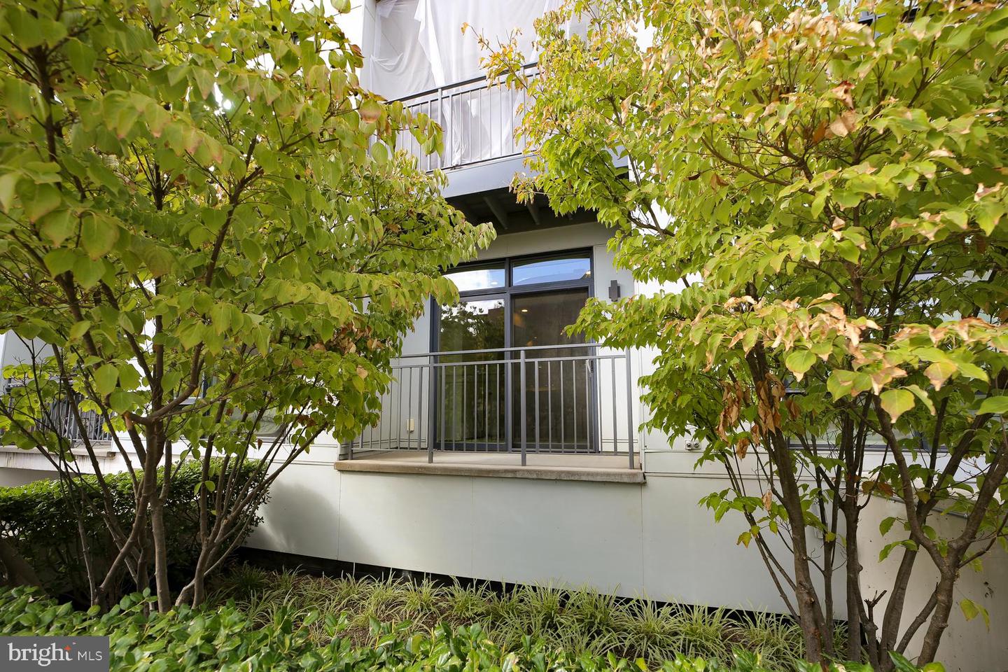 2337 CHAMPLAIN ST NW #104, WASHINGTON, District Of Columbia 20009, 2 Bedrooms Bedrooms, ,1 BathroomBathrooms,Residential,For sale,2337 CHAMPLAIN ST NW #104,DCDC2227120 MLS # DCDC2227120