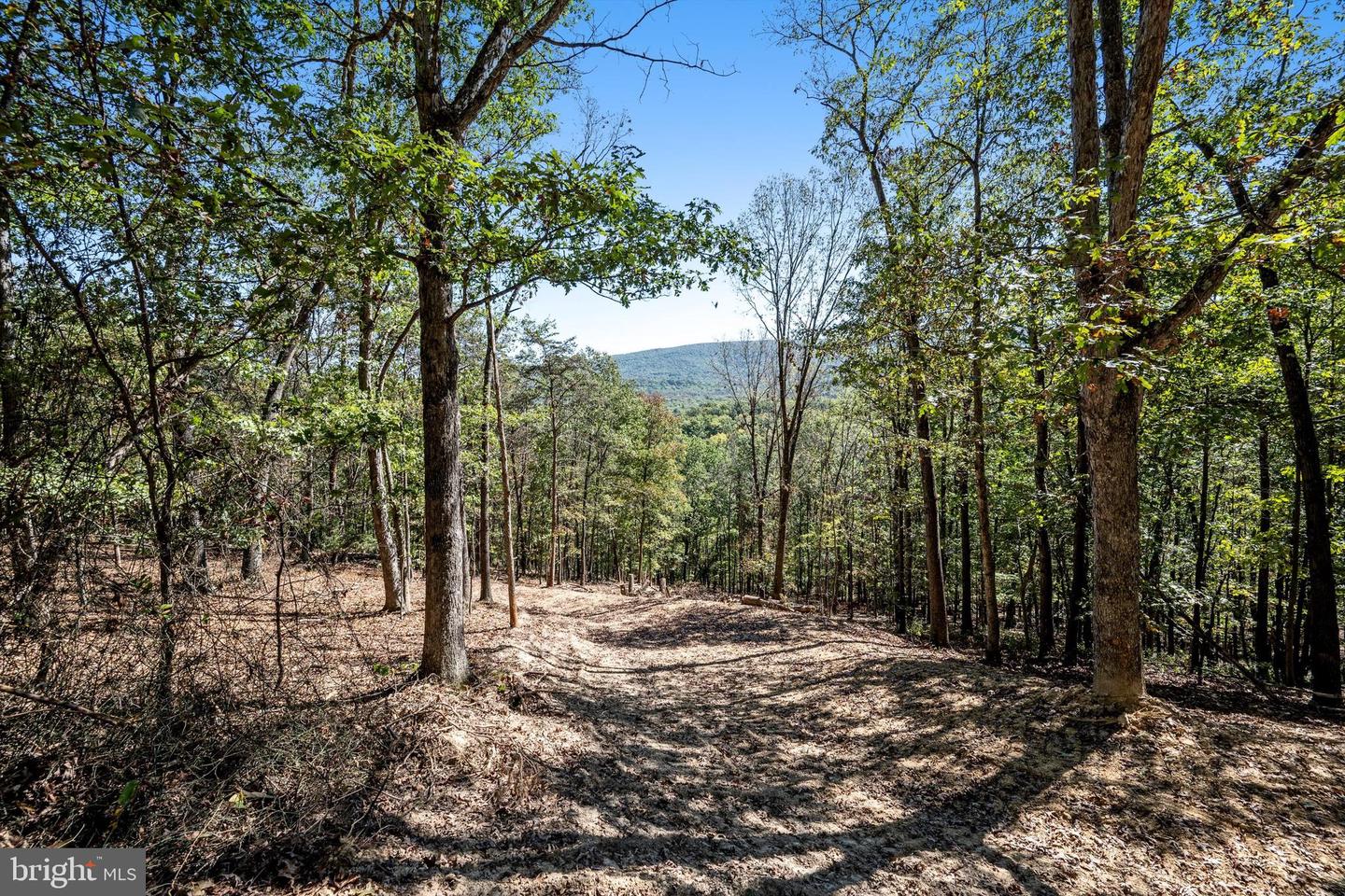 LOT 6 BACK CREEK RD, GORE, Virginia 22637, ,Land,For sale,LOT 6 BACK CREEK RD,VAFV2037394 MLS # VAFV2037394