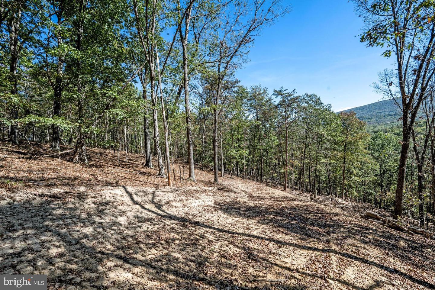 LOT 6 BACK CREEK RD, GORE, Virginia 22637, ,Land,For sale,LOT 6 BACK CREEK RD,VAFV2037394 MLS # VAFV2037394