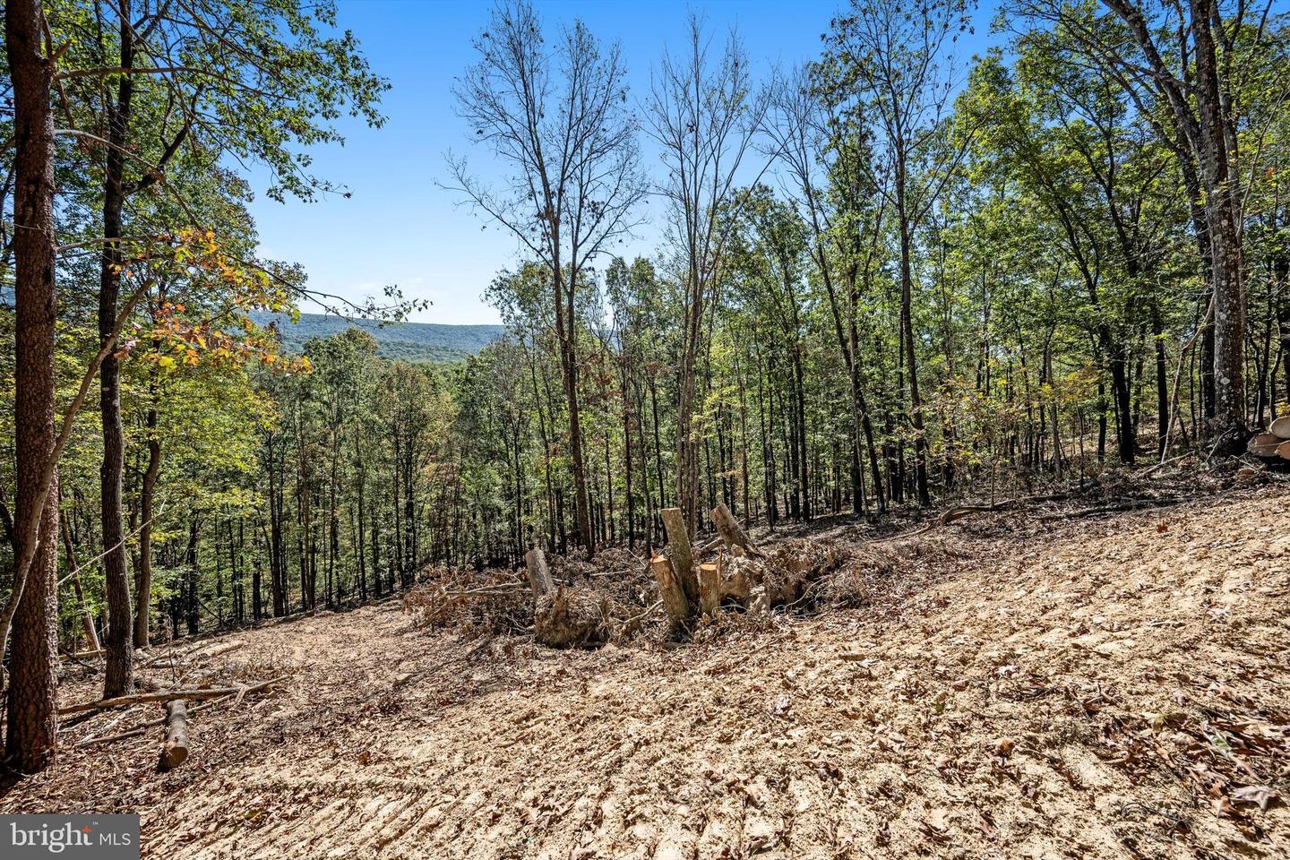 LOT 6 BACK CREEK RD, GORE, Virginia 22637, ,Land,For sale,LOT 6 BACK CREEK RD,VAFV2037394 MLS # VAFV2037394