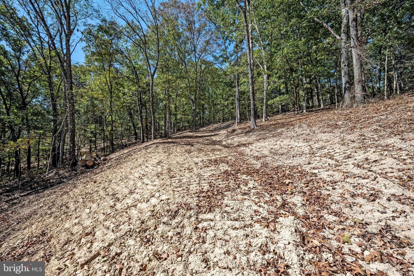 LOT 6 BACK CREEK RD, GORE, Virginia 22637, ,Land,For sale,LOT 6 BACK CREEK RD,VAFV2037394 MLS # VAFV2037394