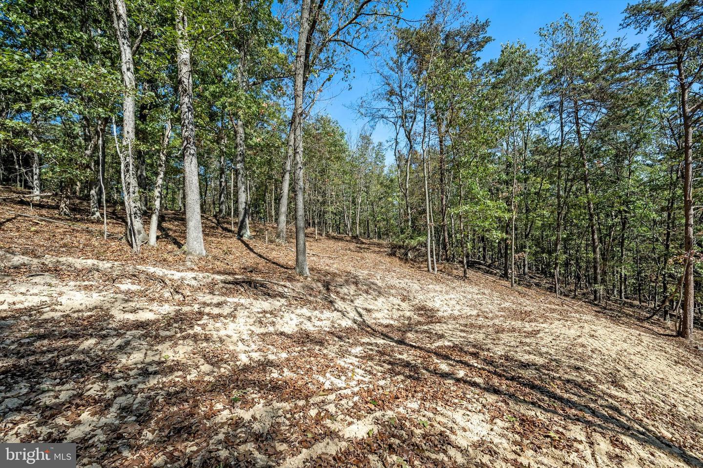 LOT 6 BACK CREEK RD, GORE, Virginia 22637, ,Land,For sale,LOT 6 BACK CREEK RD,VAFV2037394 MLS # VAFV2037394