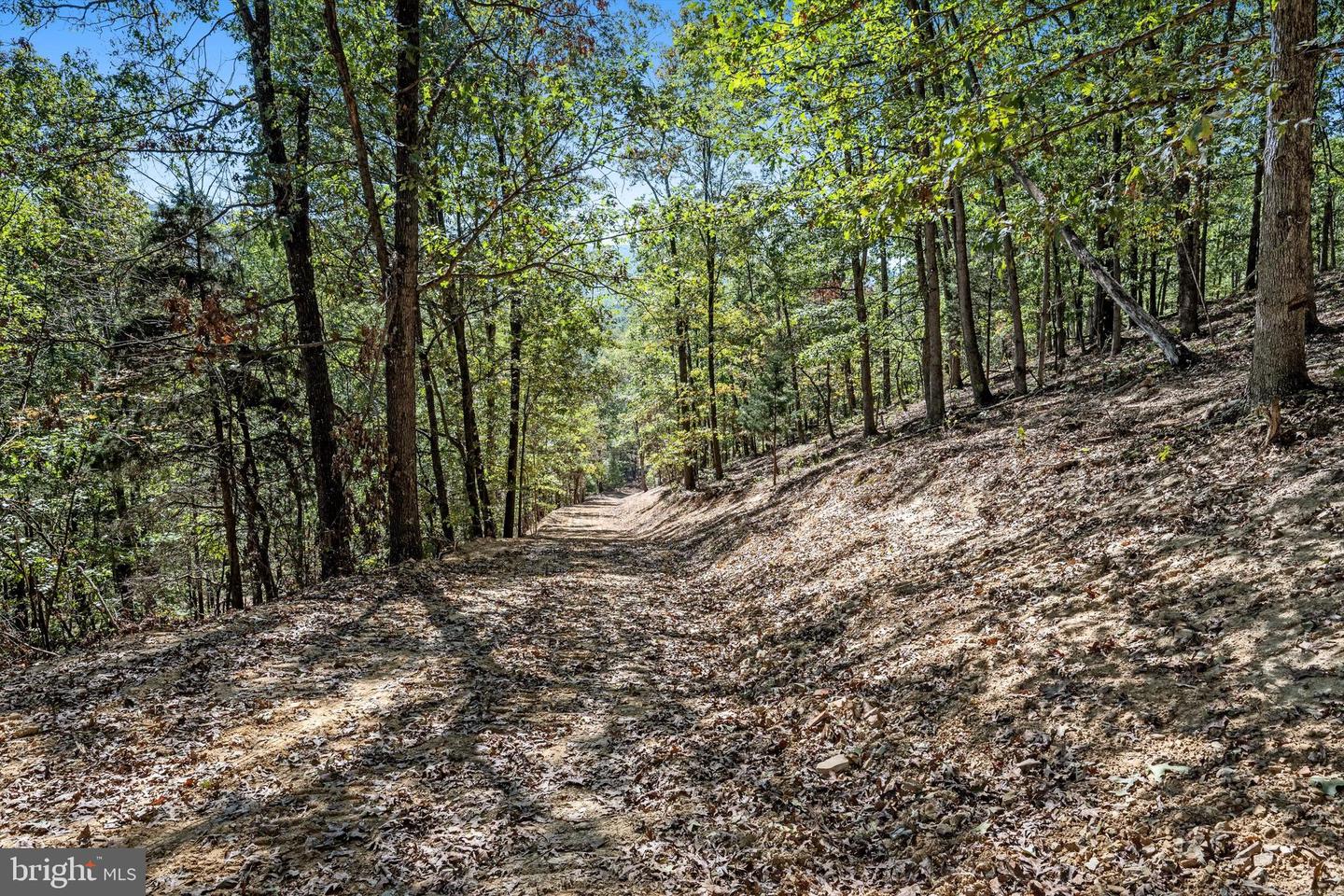 LOT 6 BACK CREEK RD, GORE, Virginia 22637, ,Land,For sale,LOT 6 BACK CREEK RD,VAFV2037394 MLS # VAFV2037394
