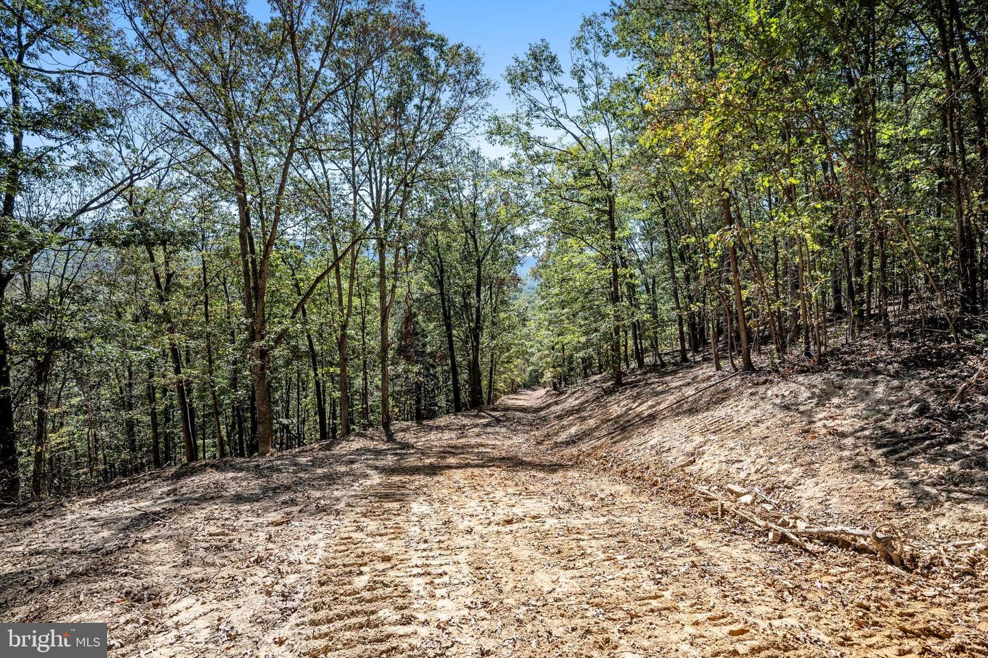 LOT 6 BACK CREEK RD, GORE, Virginia 22637, ,Land,For sale,LOT 6 BACK CREEK RD,VAFV2037394 MLS # VAFV2037394