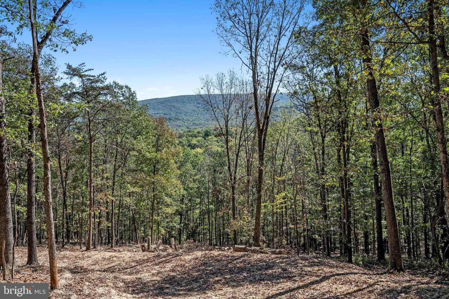 LOT 6 BACK CREEK RD, GORE, Virginia 22637, ,Land,For sale,LOT 6 BACK CREEK RD,VAFV2037394 MLS # VAFV2037394