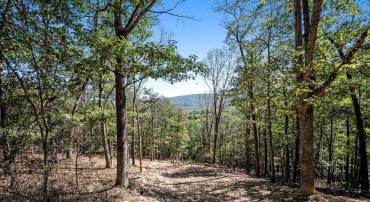 LOT 6 BACK CREEK RD, GORE, Virginia 22637, ,Land,For sale,LOT 6 BACK CREEK RD,VAFV2037394 MLS # VAFV2037394