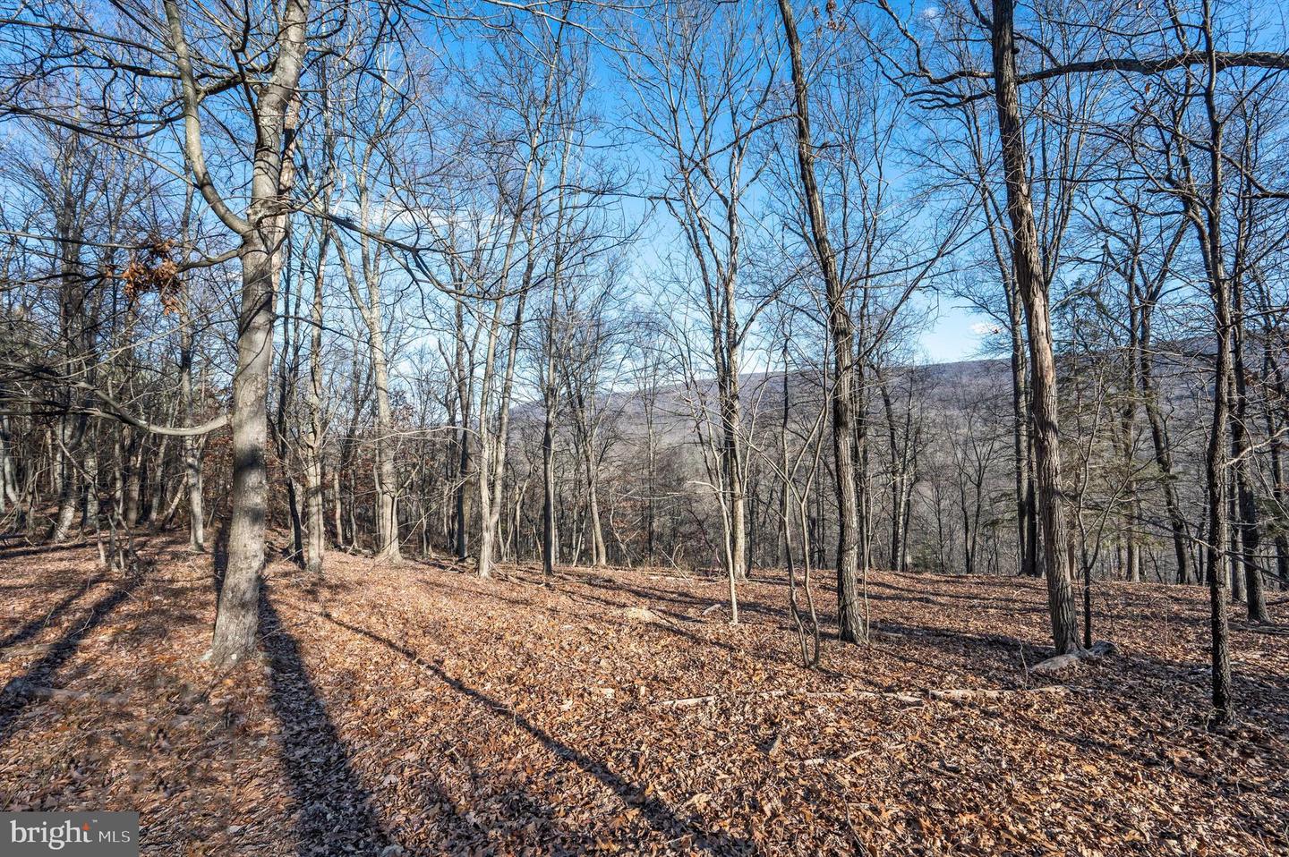 LOT 2 BACK CREEK RD, GORE, Virginia 22637, ,Land,For sale,LOT 2 BACK CREEK RD,VAFV2037396 MLS # VAFV2037396 LOT 2 BACK CREEK RD, GORE, Virginia 22637, ,Land,For sale,LOT 2 BACK CREEK RD,VAFV2037396 MLS # VAFV2037396