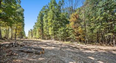 LOT 2 BACK CREEK RD, GORE, Virginia 22637, ,Land,For sale,LOT 2 BACK CREEK RD,VAFV2037396 MLS # VAFV2037396