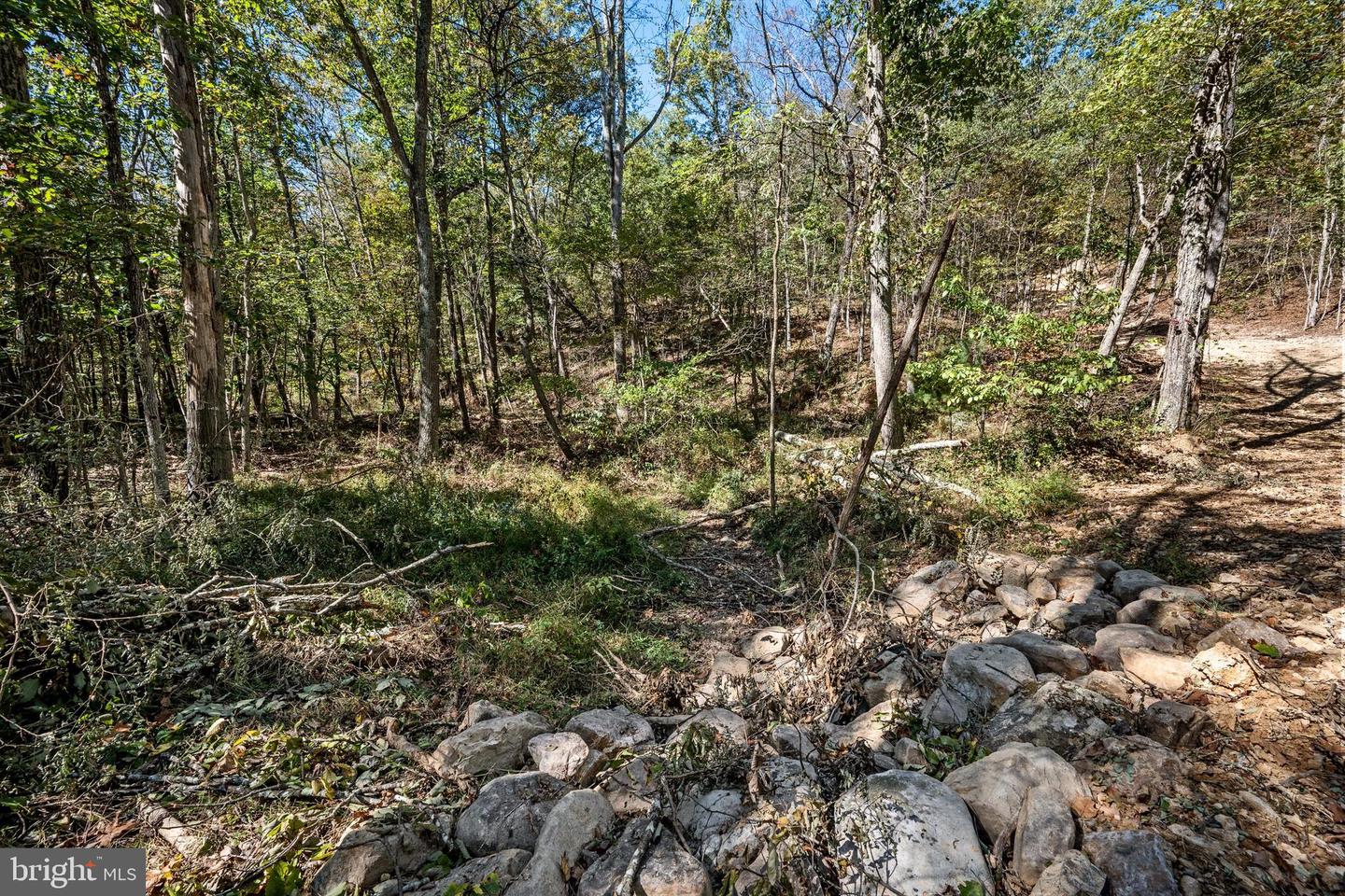 LOT 4 BACK CREEK RD, GORE, Virginia 22637, ,Land,For sale,LOT 4 BACK CREEK RD,VAFV2037398 MLS # VAFV2037398