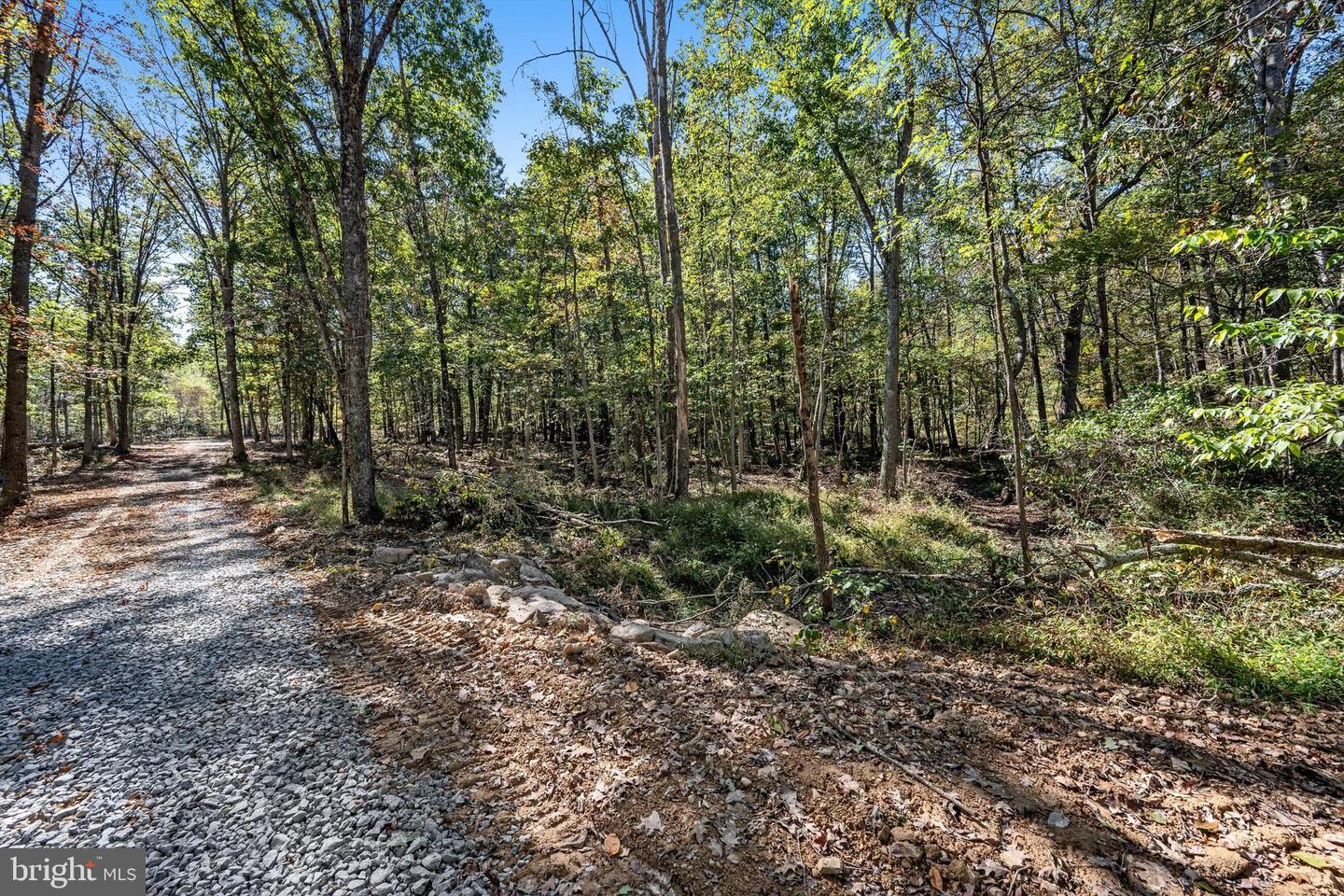 LOT 4 BACK CREEK RD, GORE, Virginia 22637, ,Land,For sale,LOT 4 BACK CREEK RD,VAFV2037398 MLS # VAFV2037398